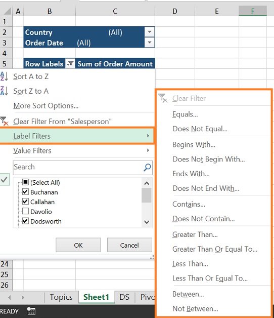 Pivot table Label Filter