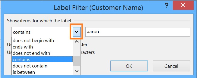 Options of Label Filter in Pivot Table