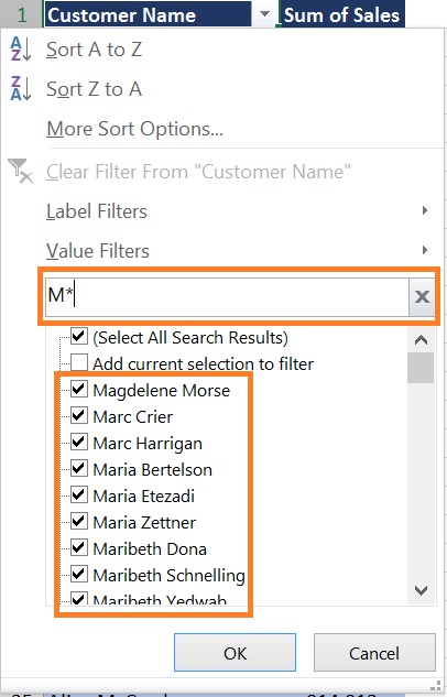 WildCard Characters in Search box in pivot table