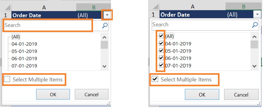 Date filter - Individual Date with the Date Check box in pivot table